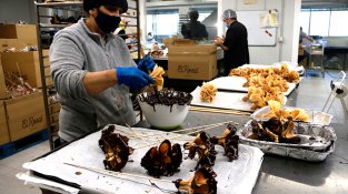 Una treballadora de l'obrador fent roses de galeta