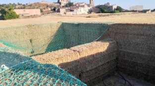 L'Associació Limonium Natura habilita un espai a la Figuerosa per afavorir la cria campestre de l'esparver cendrós