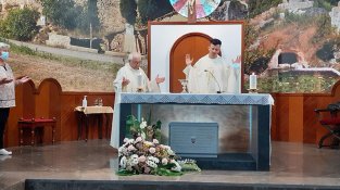 Festes del Carme. La collita del gra. Assemblea dels Amics de l'Arbre