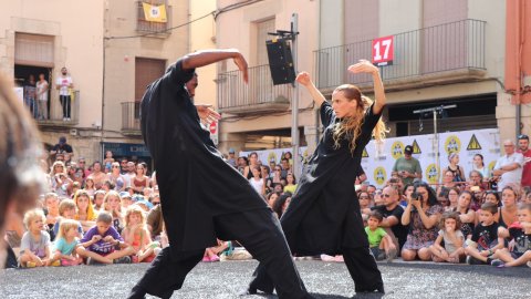 La imatge representa el carrer, el públic i la dansa. Des dels seus inicis, el carrer i el públic han estat l'essència de la Fira, sobre aquestes dues potes s'ha construït l'esdeveniment cultural més gran de les terres de Lleida. El carrer ha estat l'esce