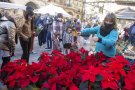 Bona afluència de públic al Mercat de Nadal d'Agramunt