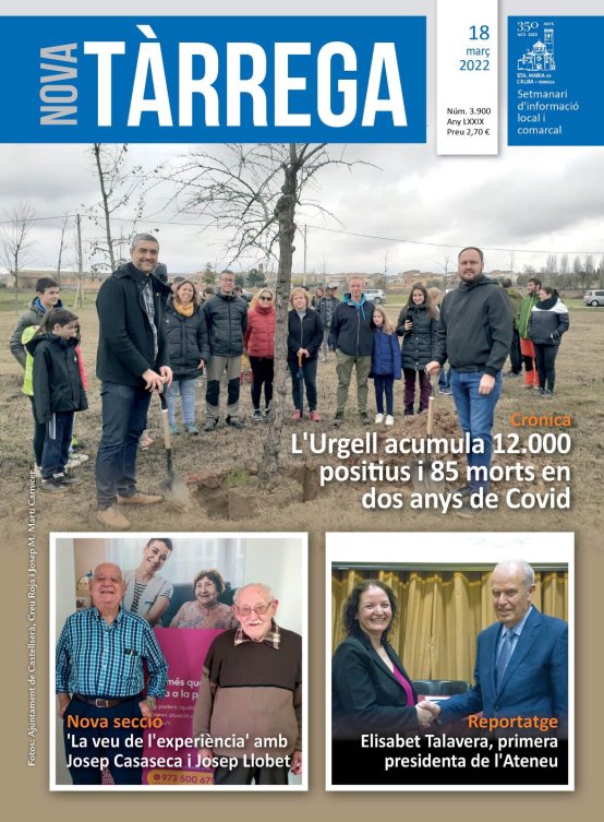NT 3.900