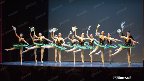 Segona gala de dansa solidària amb l'esclerosi múltiple