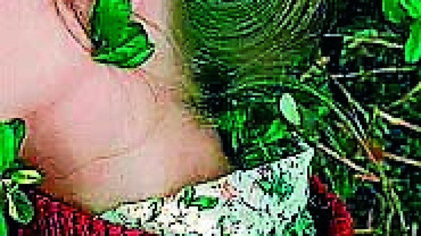 La portada del llibre