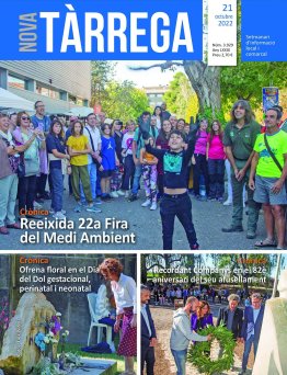 NT 3.929