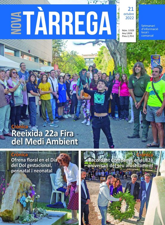 NT 3.929
