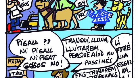 Eloi 21/10/2022