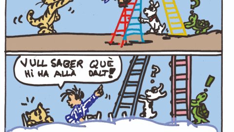 Eloi 17/03/2023