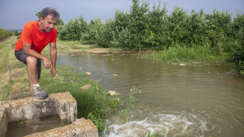 Pere Pont en una finca de pomeres