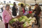 La fira Viu l’Hort de Castellserà reforça el suport als productors de proximitat