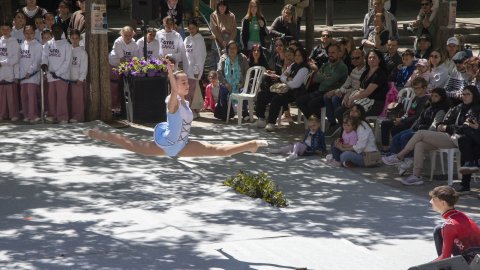 Marató de dansa de Tàrrega