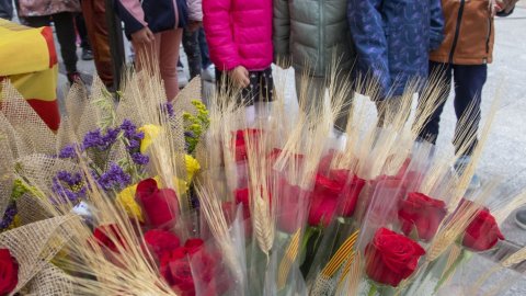 Sant Jordi 2025