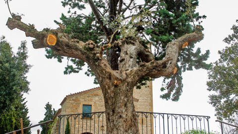 Inaguració monument en celebració dels 80 anys de Nova Tàrrega