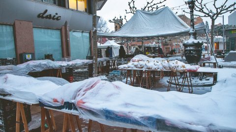 Nevada i fred intens gener 2026