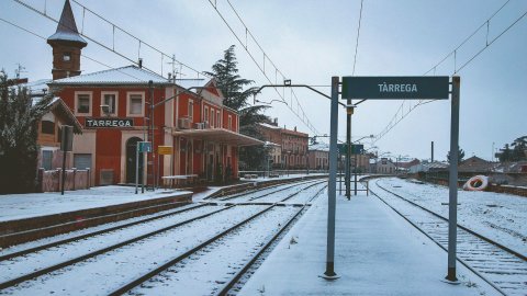 Nevada i fred intens gener 2026