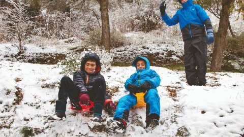 Nevada i fred intens gener 2026