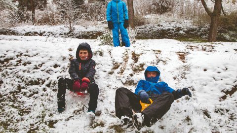 Nevada i fred intens gener 2026
