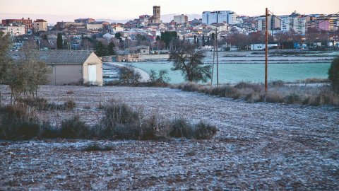 Nevada i fred intens gener 2026