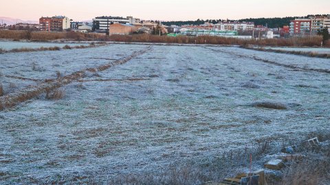 Nevada i fred intens gener 2026