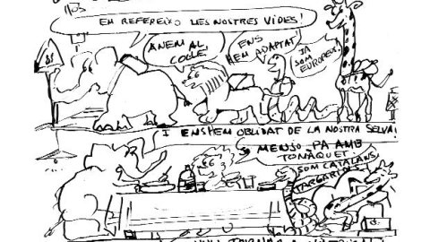 Eloi 20/11/2015