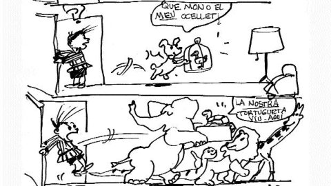 Eloi 13/05/2016