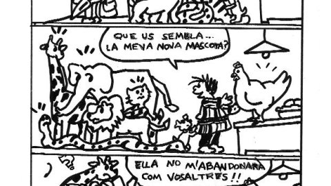 Eloi 27/05/2016