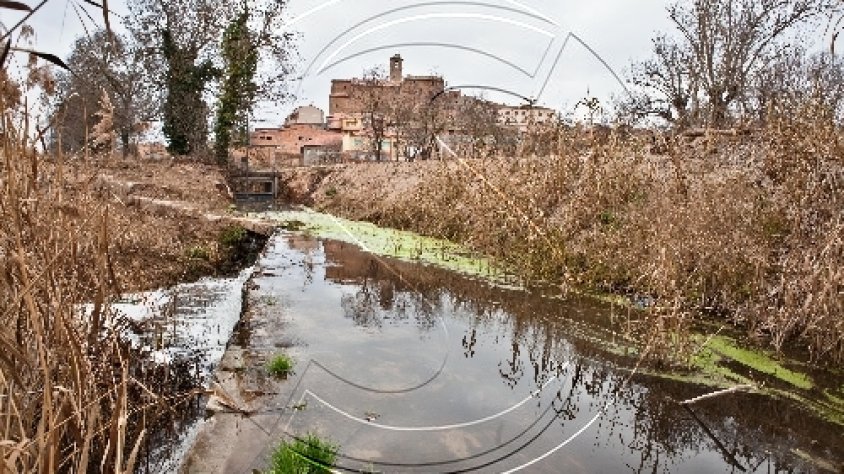 La zona de la peixera de Puigverd