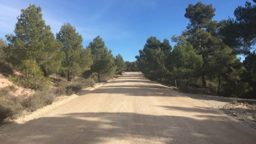 Un dels camins arranjats a Guimerà