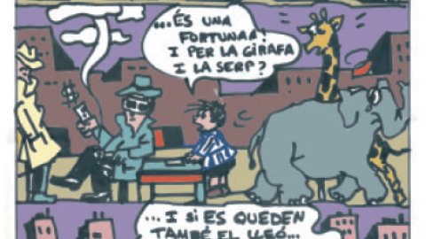 Eloi 10/03/2017