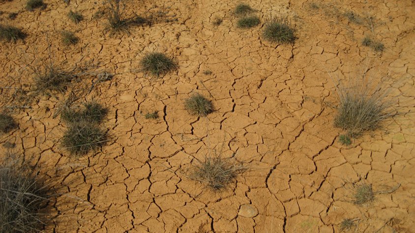 Un terreny que acusa la sequera