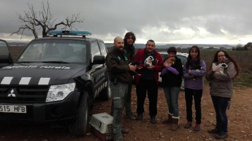Agents Rurals amb els responsables de la canera de Tàrrega i les famílies d'acollida