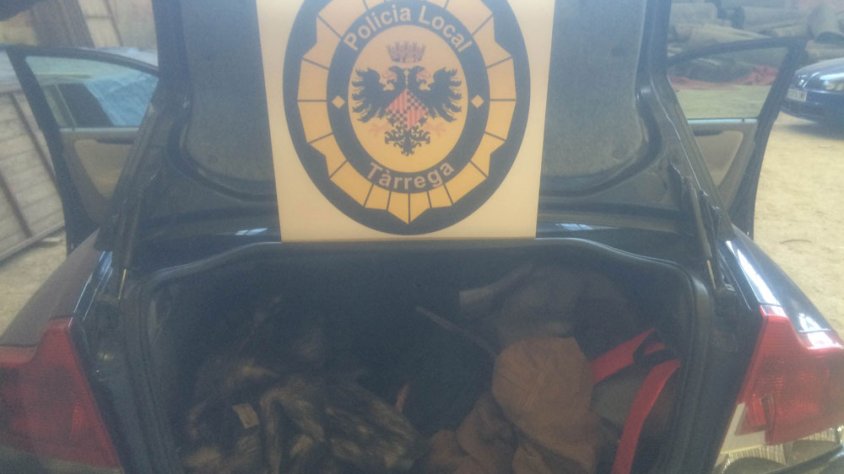 El maleter del vehicle del detingut amb els objectes sostrets