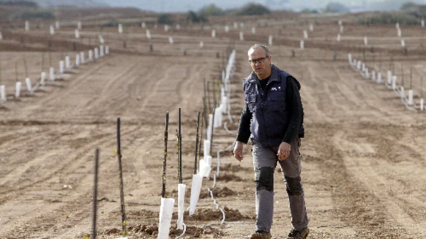 L'aigua del Segarra-Garrigues va començar a regar ahir una plantació d'ametllers de Castelldans, a les Garrigues