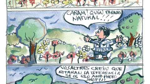 Eloi 26/05/2017