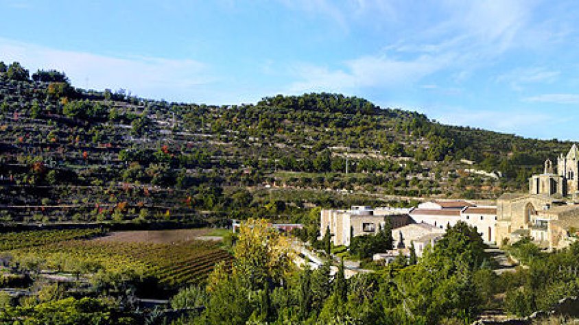 Vista de Vallbona de les Monges
