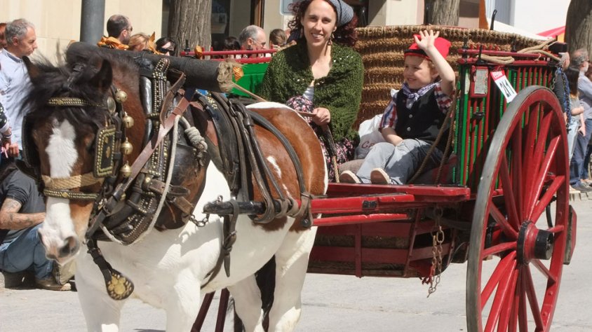 Un dels carros que diumenge van participar en la festa d’Anglesola