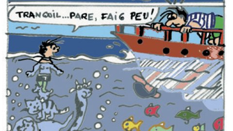 Eloi 14/07/2017