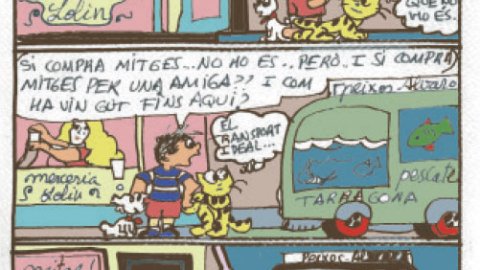 Eloi 25/08/2017