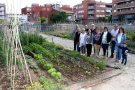 Plena ocupació dels horts urbans ecològics de Tàrrega