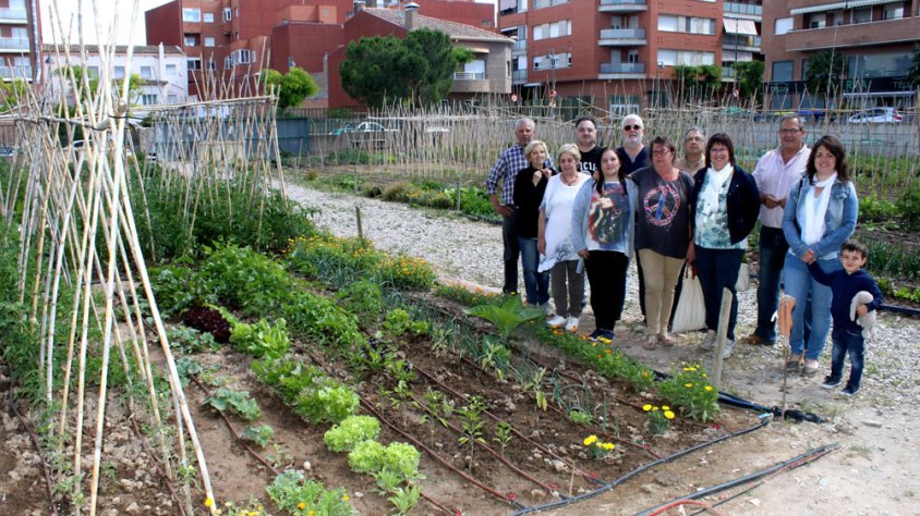Visita de les autoritats locals a les parcel·les