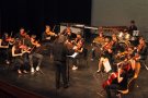 L'Escola Municipal de Música de Tàrrega clou el curs amb un lluït concert al Teatre Ateneu