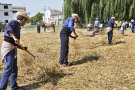 Les Festes del Segar i el Batre incorporen les dones