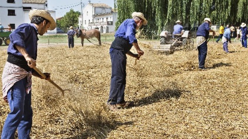 Imatge de l'edició de l'any passat de la Festa del Batre