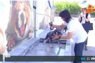 Tàrrega estrena rentador de mascotes, que destina la meitat dels beneficis a la Protectora d'Animals