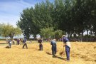 Una exposició de tractors antics, jocs tradicionals i un concurs d'instagramers, aquest diumenge a la Festa del Batre de la Fuliola