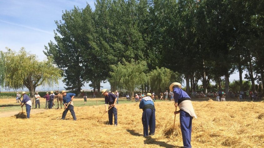 Imatge d'arxiu de les Festes del Batre