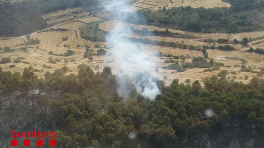 Imatge d'aquest matí de l'incendi on es pot veure una columna de fum