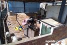 Traslladen a la canera de Tàrrega un gos desnodrit que estava en una casa d'Anglesola