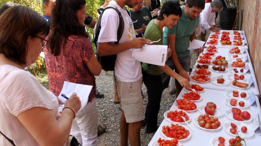 Els participants al tast que va tenir lloc dissabte.