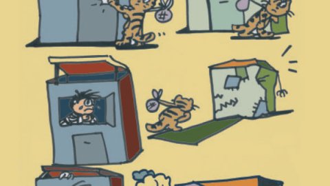 Eloi 02/02/2018